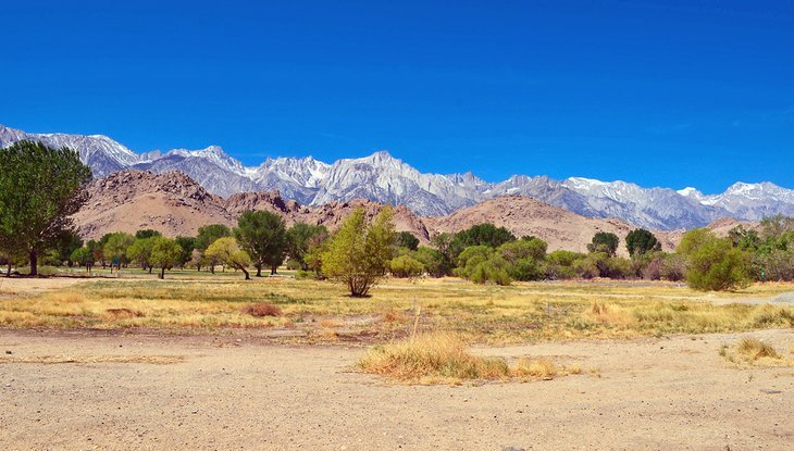 Eastern Sierra Interagency Visitor Center